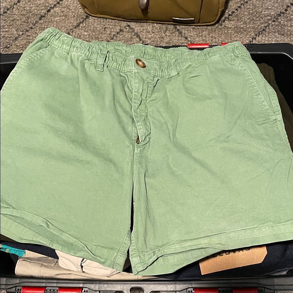 Chubbies Light Green Flat Front Shorts